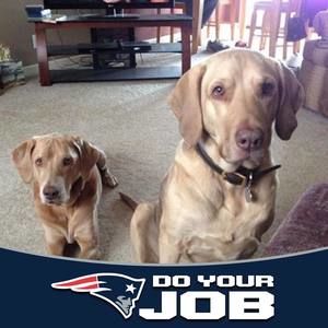 Meet your Posher, Amy clancy